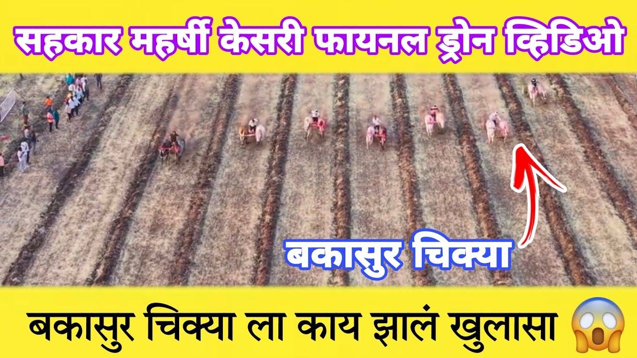 सहकार महर्षी केसरी मैदान फायनल ड्रोन व्हिडिओ 😍 बकासुर चिक्याला काय झालं खुलासा 😱 #बकासुर #नाद #viral