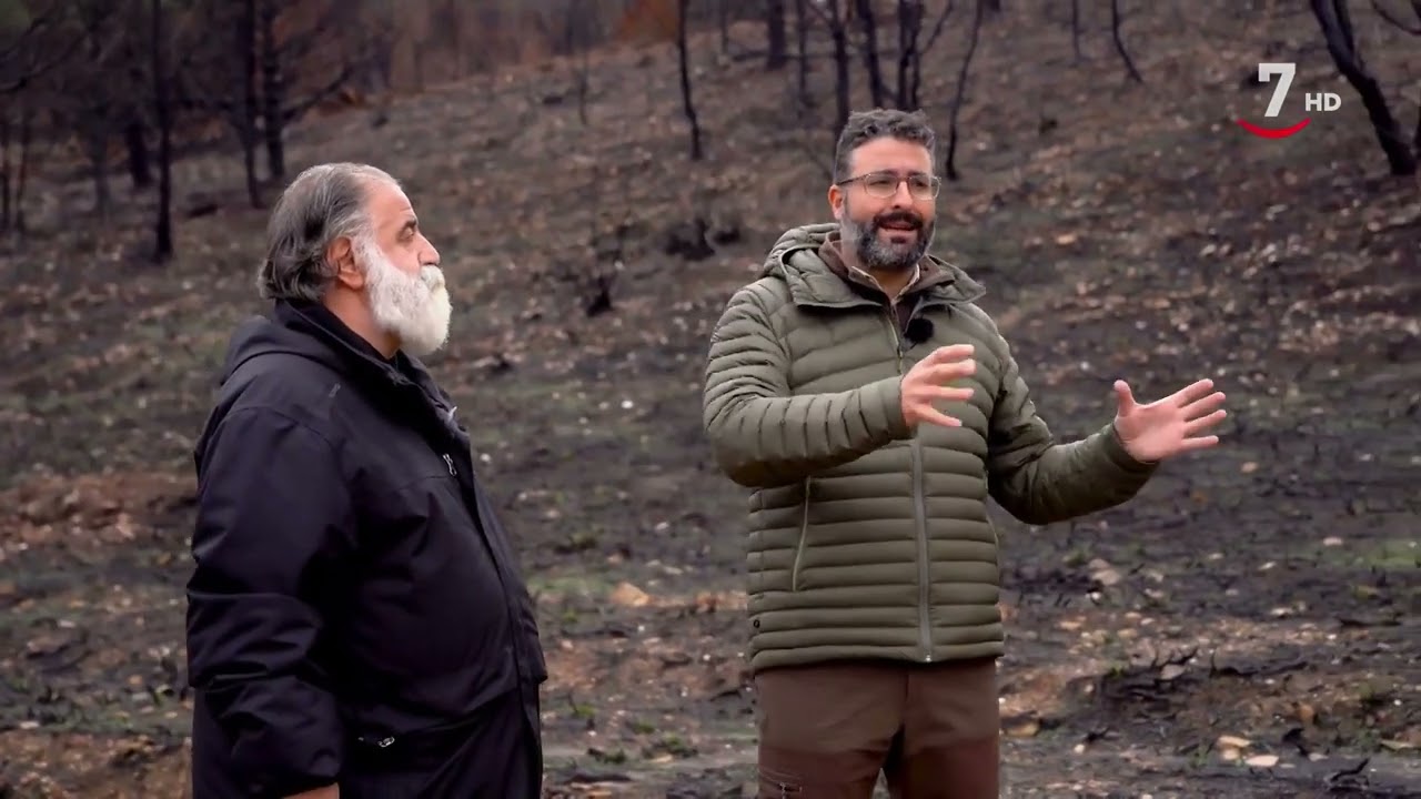 El Arcón (441).- La Sierra de la Culebra después del fuego y el dolor