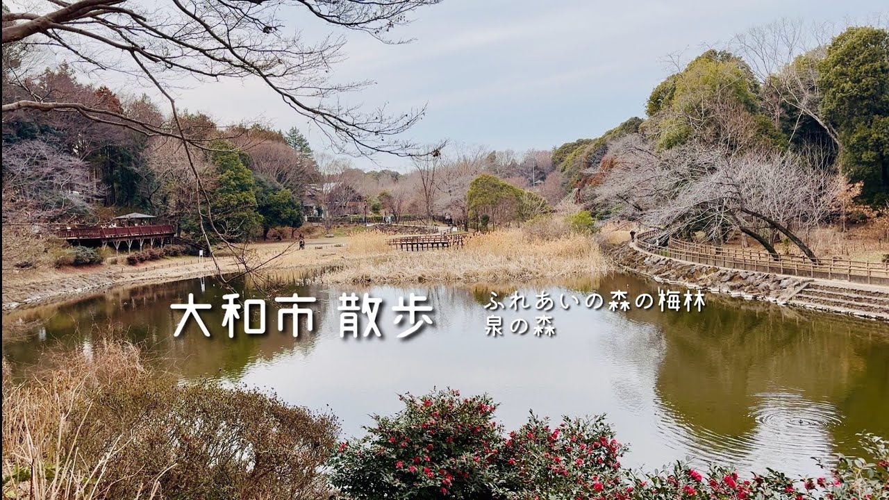 【大和市】梅林|ふれあいの森・泉の森