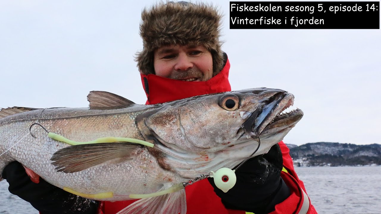 Fiskeskolen sesong 5, episode 14: Vinterfiske i fjorden