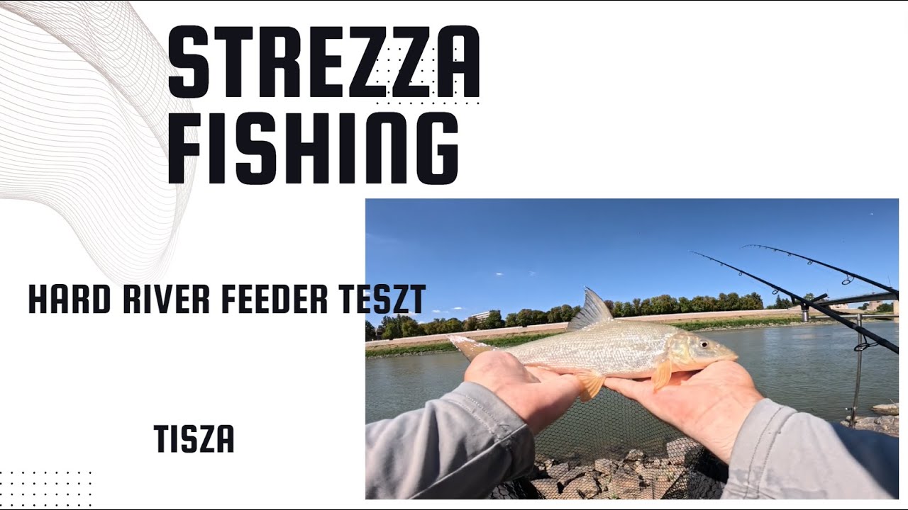 Feeder Minuter on river Tisza ep 6. - New River Feeder test - barbel party | Strezza Fishing
