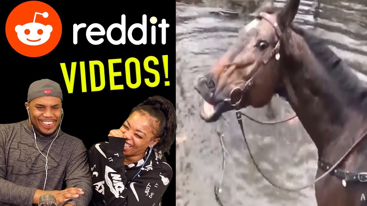 ЗАБАВНОЕ ВИДЕО НАЙДЕНО НА REDDIT!