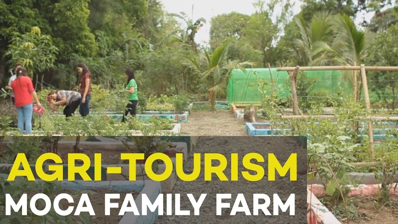 Agri tourism: MoCa Family Farm, Agribusiness Ideas in the Philippines