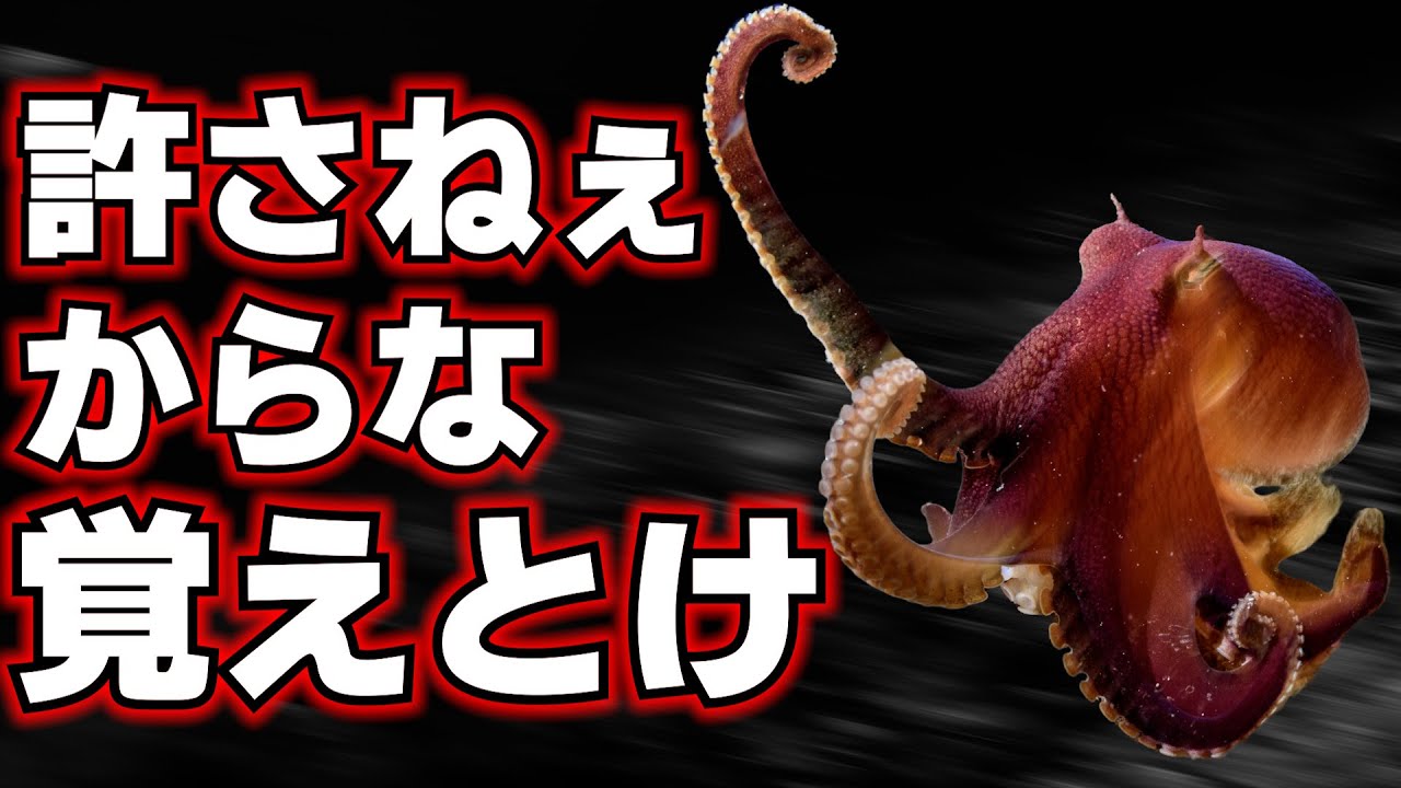 知能が高すぎるタコ、ブチギレる