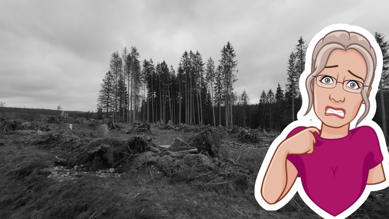 nur Elend und Sorge im Harz  -  auf schmaler Spur im Harz #22