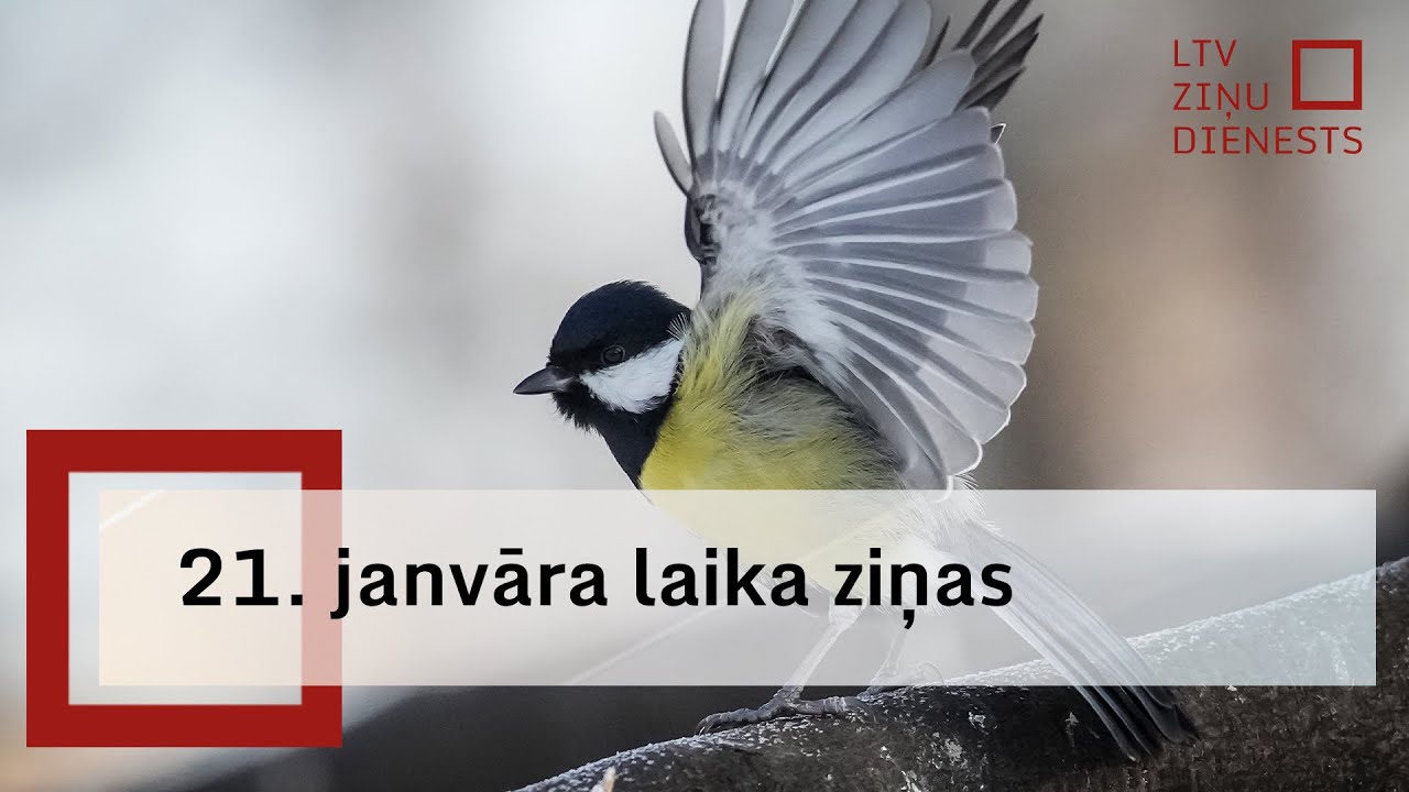21. janvāra laika ziņas