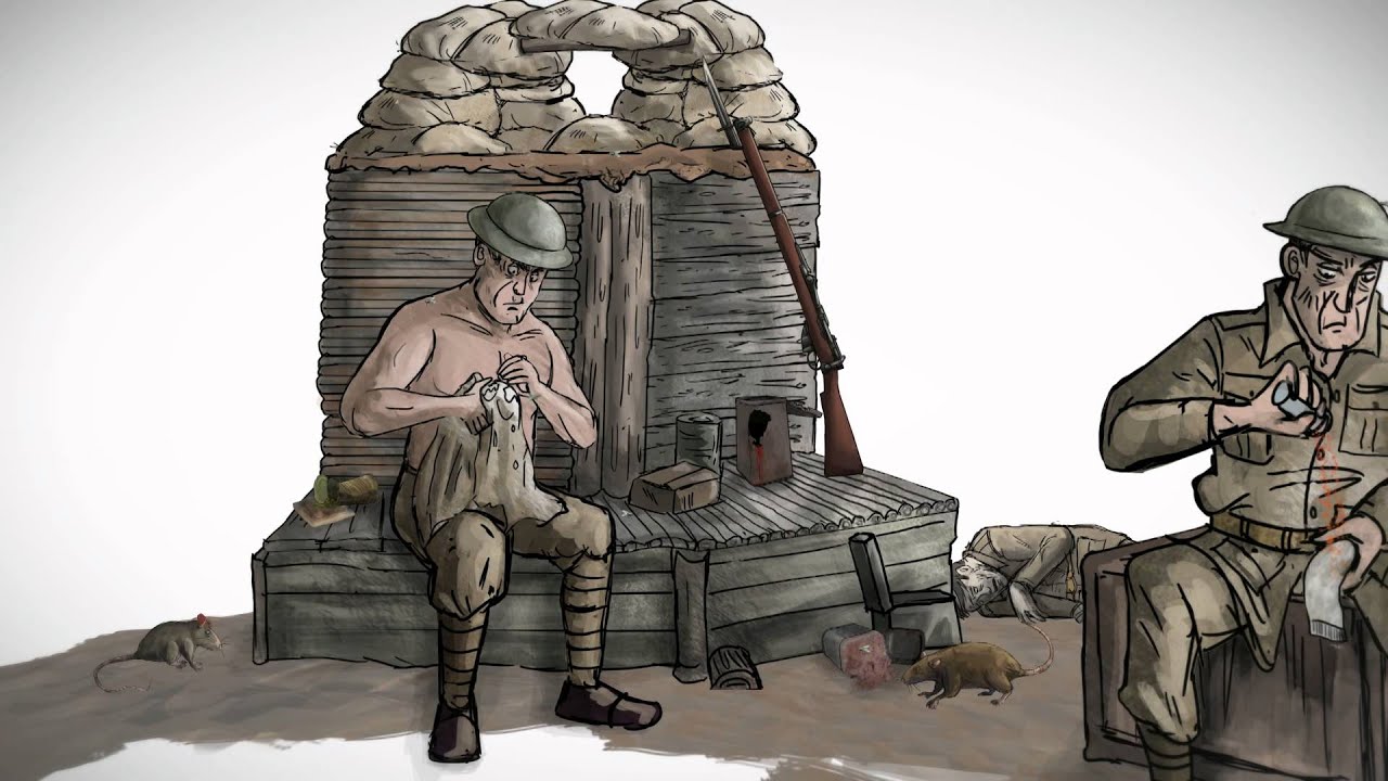 Fast Facts - World War One: Trench Life