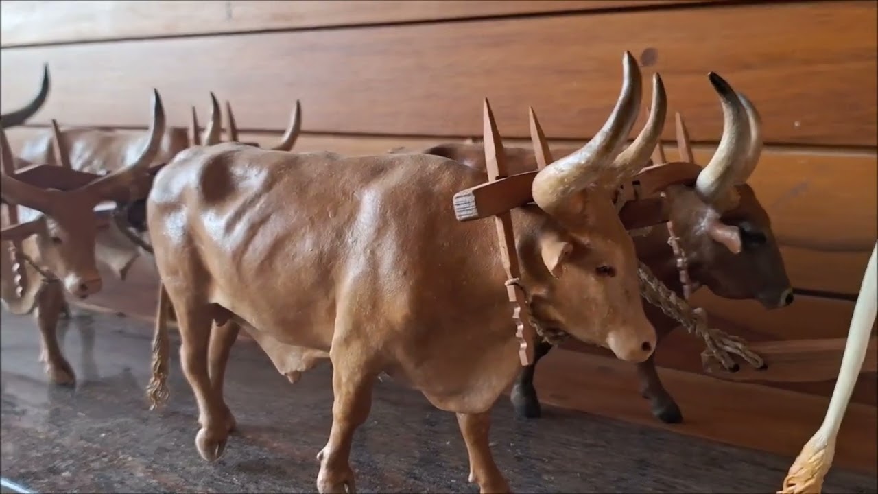 Carro de boi (Zé Americano)