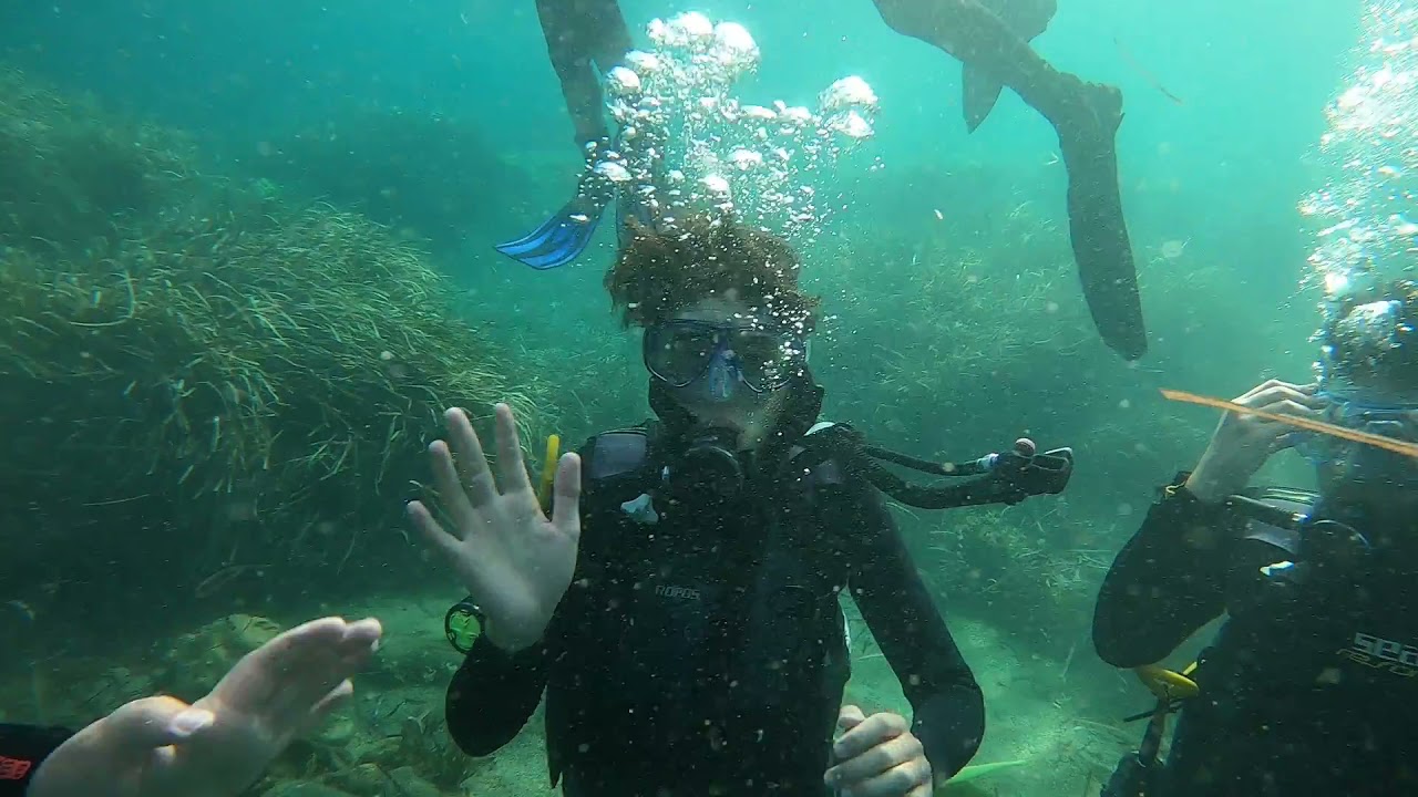 Corso Scuba Diver 2021 con ITET 