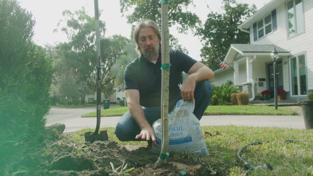 Liberty Academy Online | How to Plant Trees