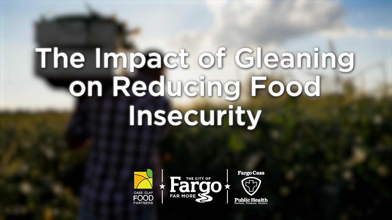 Cass Clay Food Partners | The Impact of Gleaning on Reducing Food Insecurity