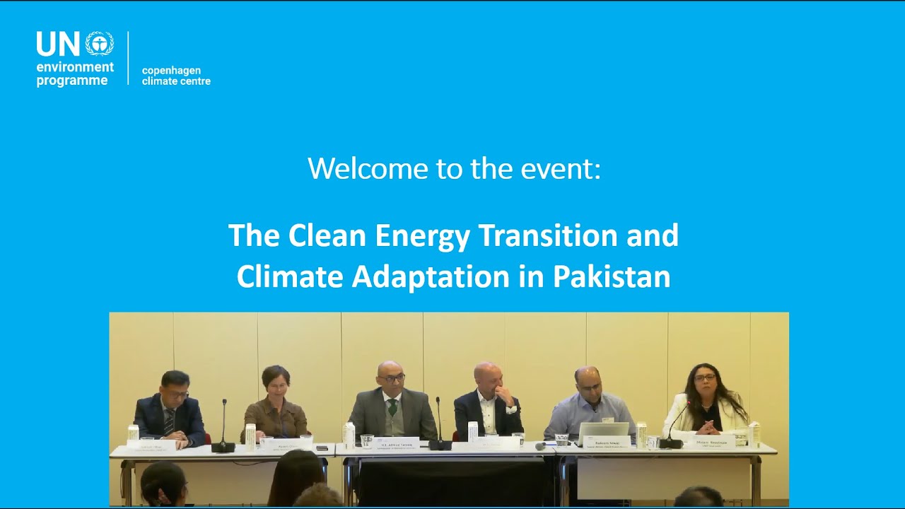 The Clean Energy Transition and Climate Adaptation in Pakistan