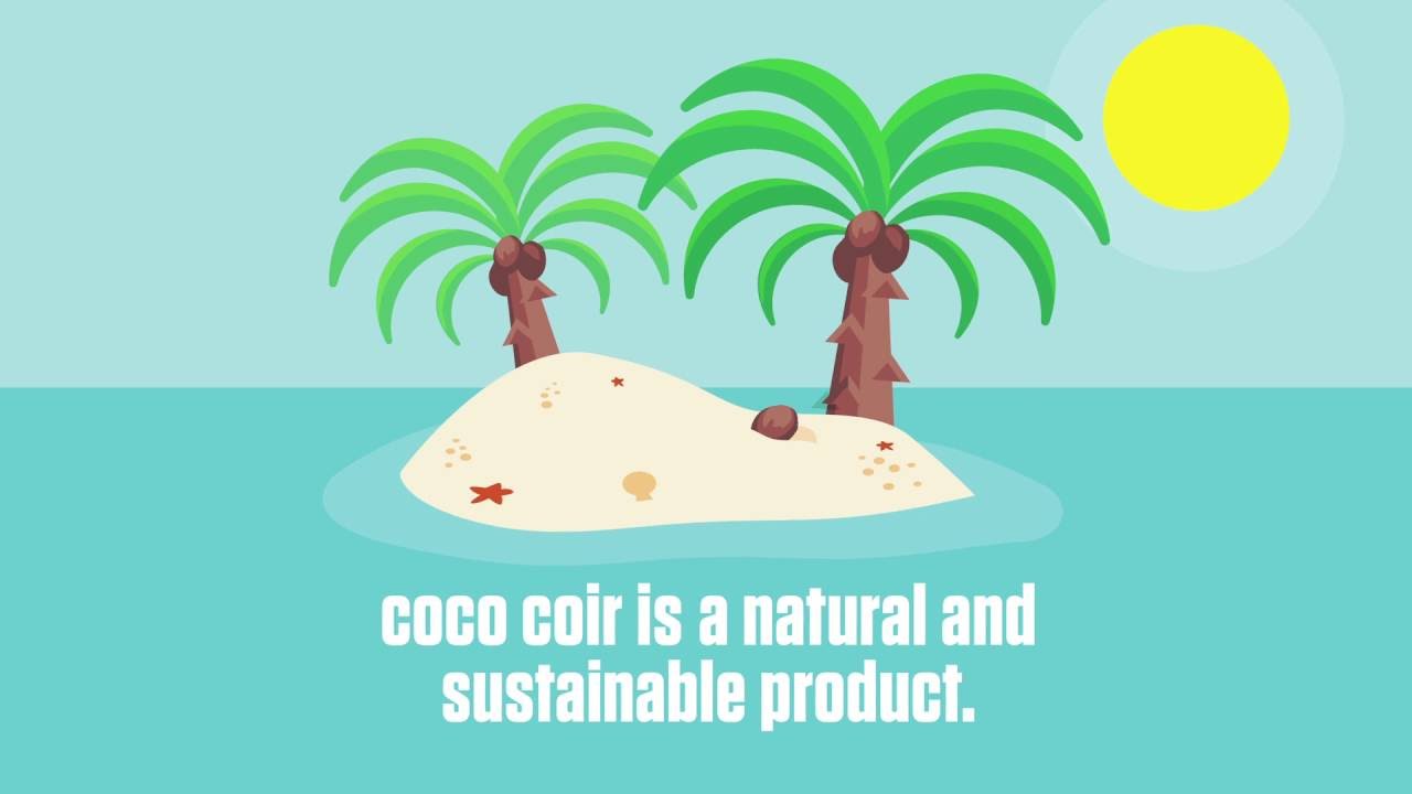 Botanicare Coco Coir