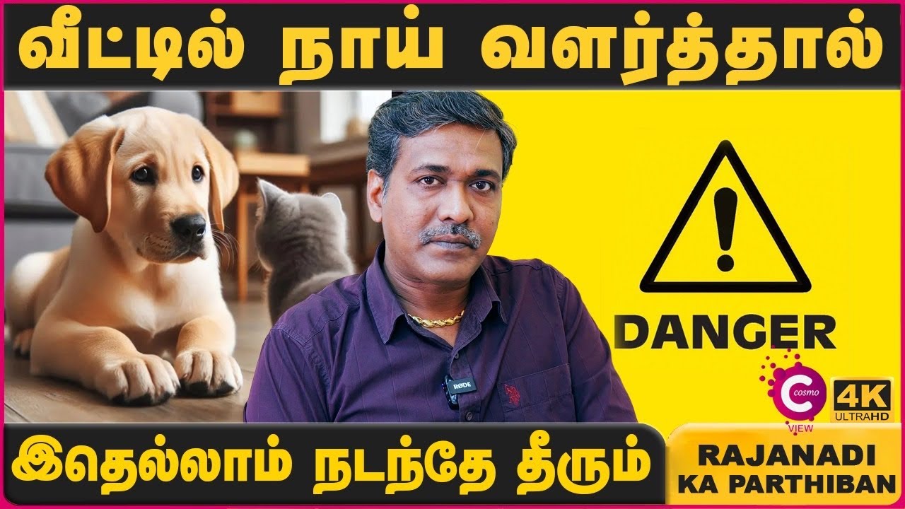 நாய்கள் வீட்டில் வளர்த்தால் என்ன பலன் | Lucky Pets for Home | Indian Astrology predictions