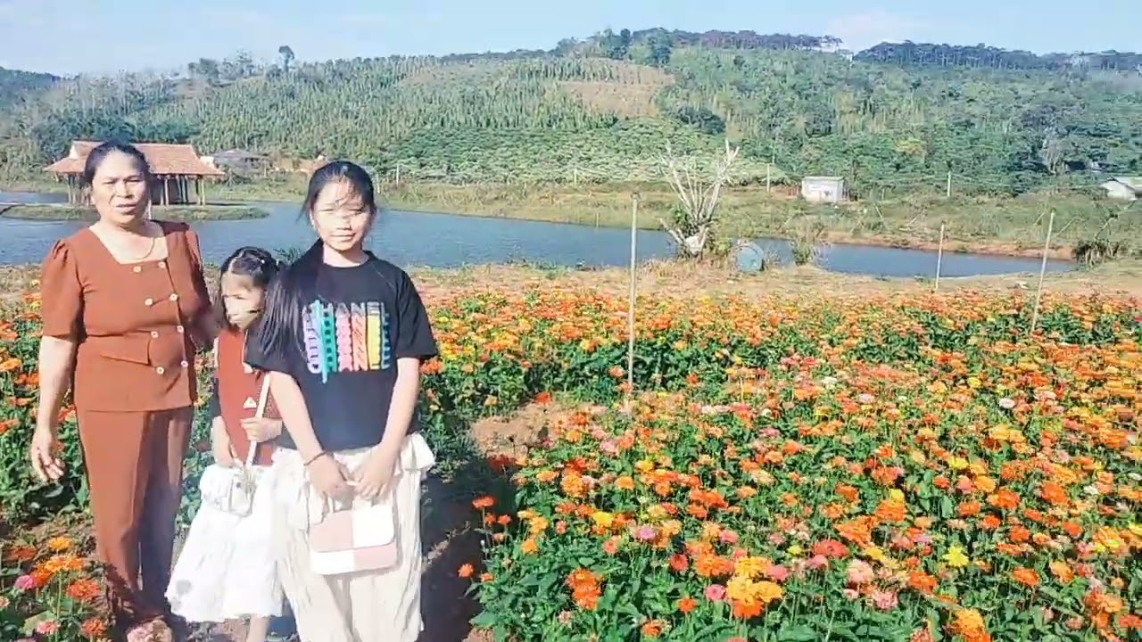 Sắc Xuân -Bính Ngọ 2026