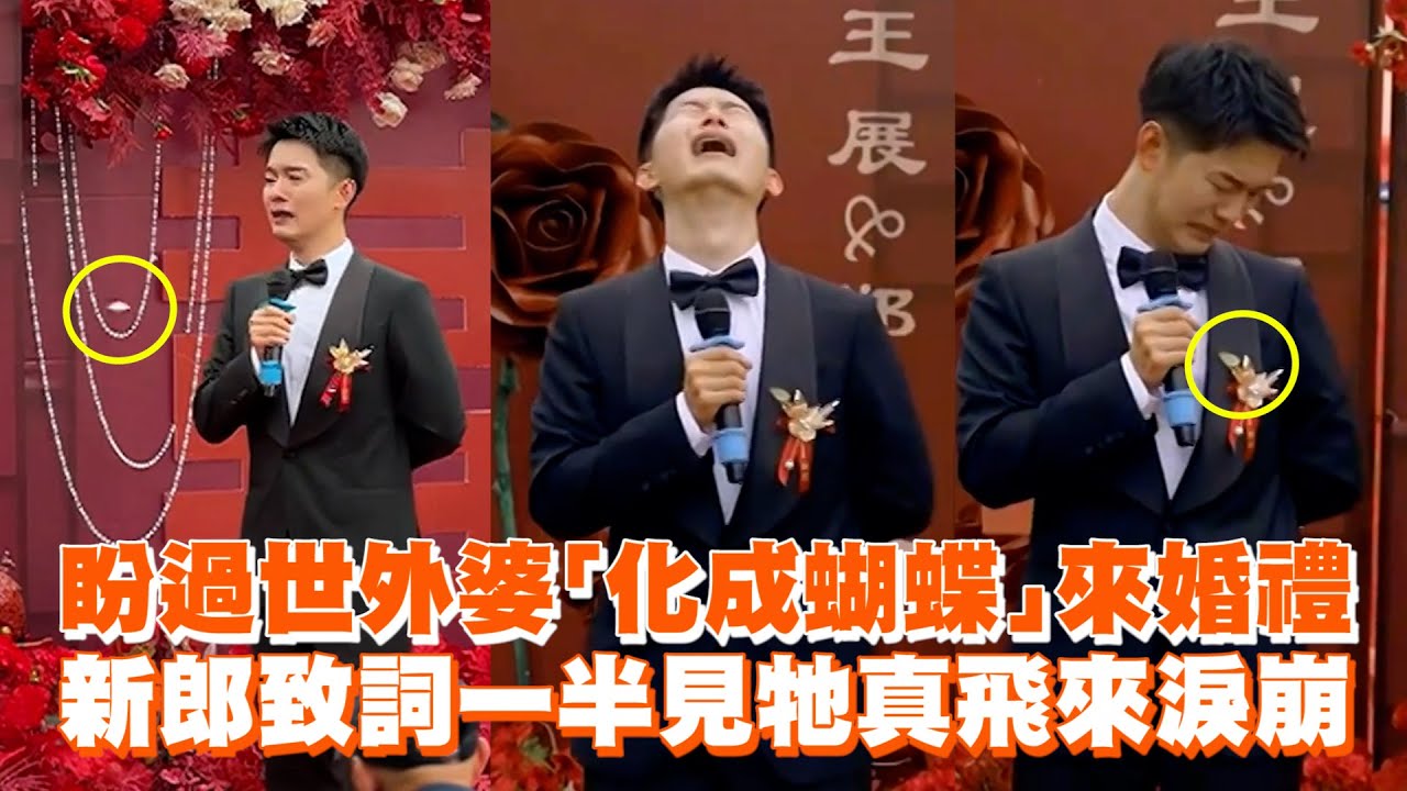 盼過世外婆「化成蝴蝶」來婚禮🦋新郎致詞一半見牠真飛來淚崩｜驚人巧合｜祖孫情｜中國大陸