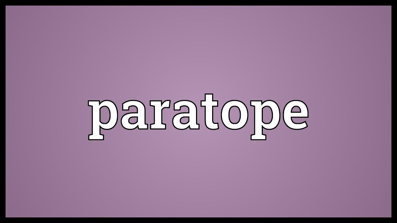 Paratope Meaning