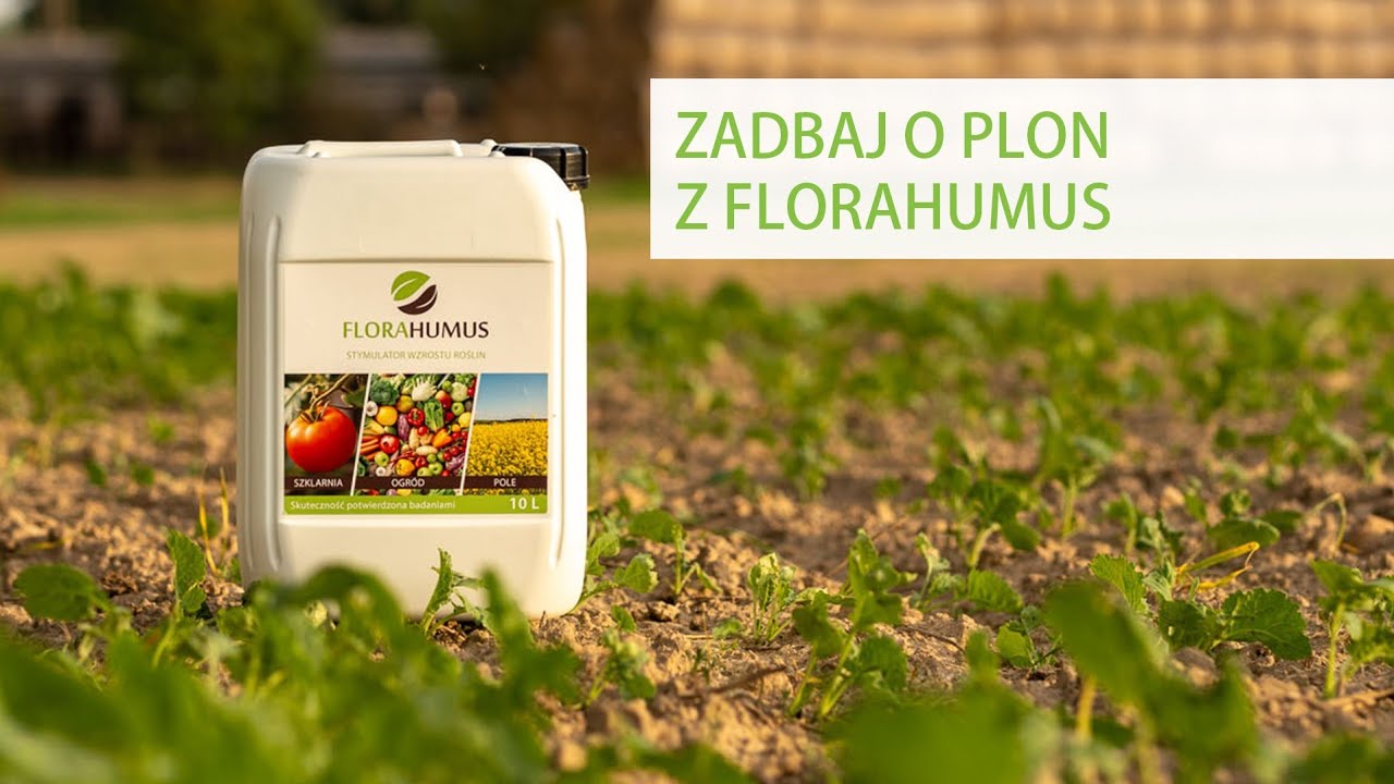 Jak zadbać o glebę? Wypowiedzi ekspertów