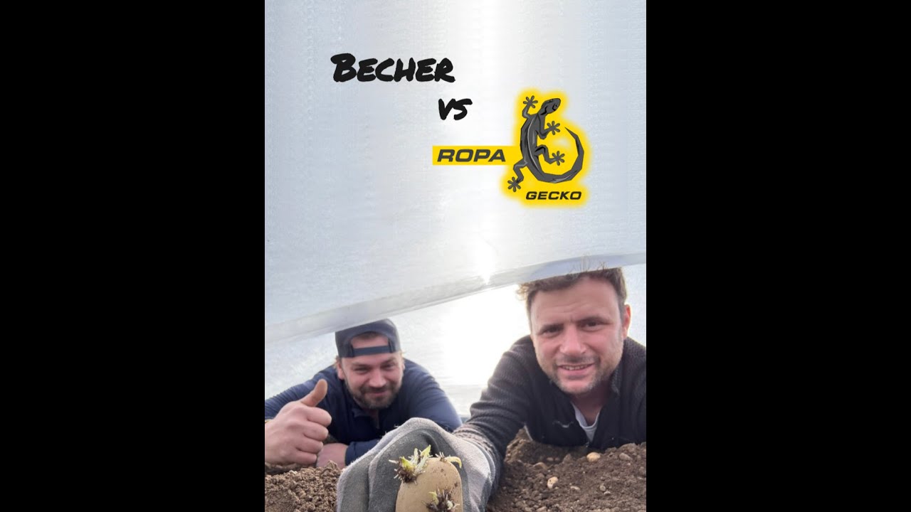 Vergleich Gecko ROPA vs. Becher-Pflanzmaschine