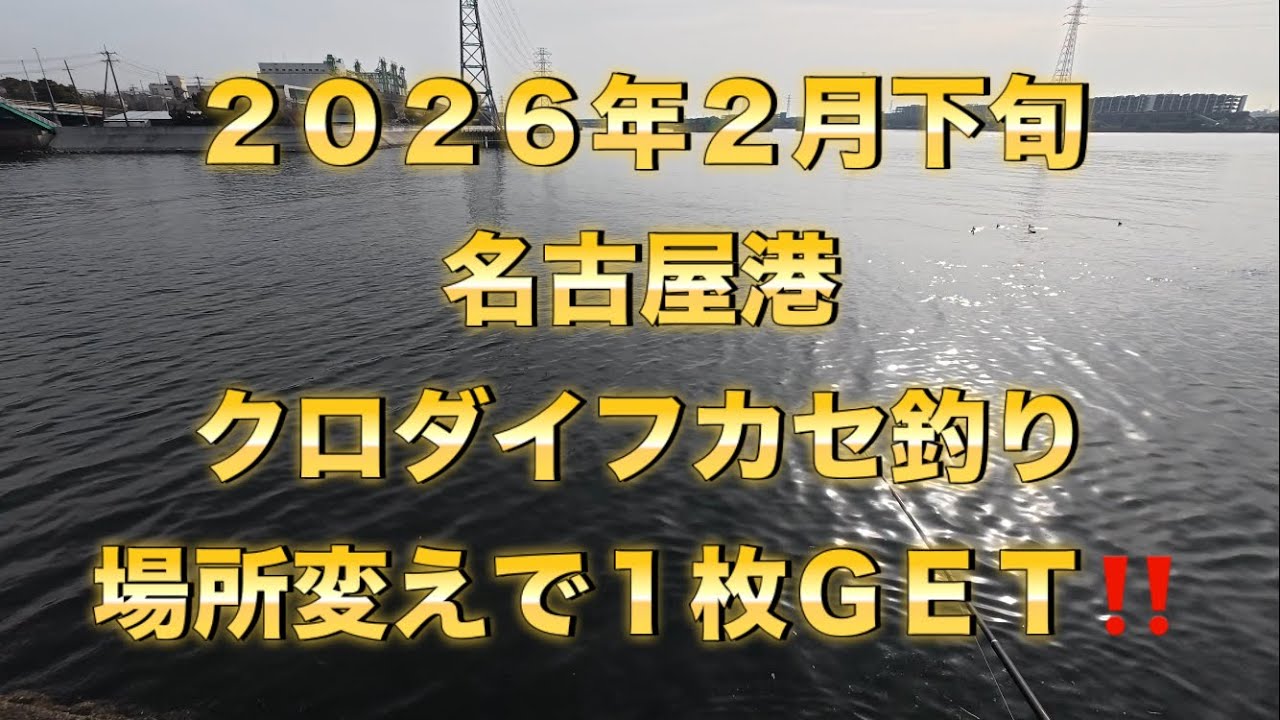 ２０２６年２月下旬　名古屋港　クロダイフカセ釣り　場所変えで１枚ＧＥＴ！