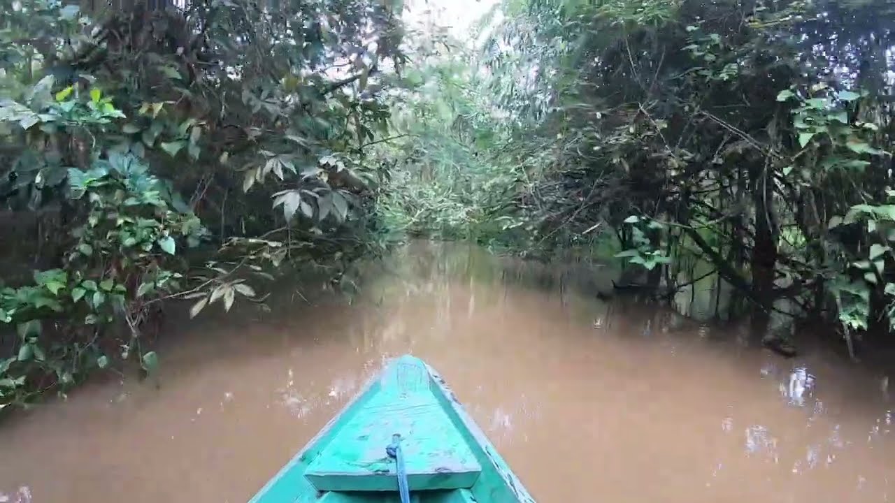 NA PROA DE UMA CANOA