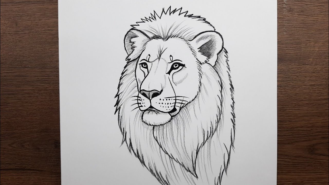 Adım adım aslan resmi çizimi - Karakalem ile aslan resmi nasıl çizilir