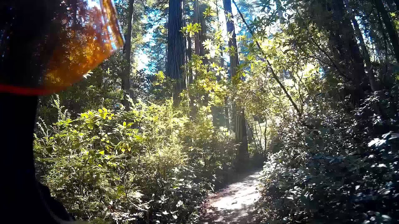 Lady Bird Johnson Grove
