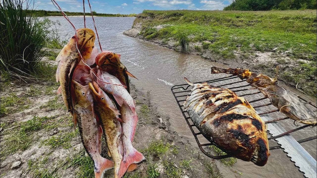 Exploring Nature: Catching and Cooking Big Catfish on the River – Step-by-Step Manduví Guide
