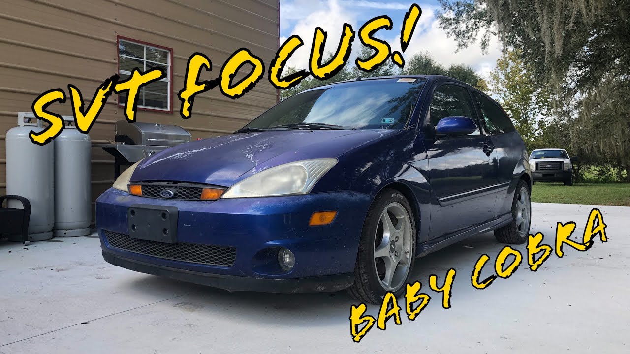 Ford Focus SVT New project!