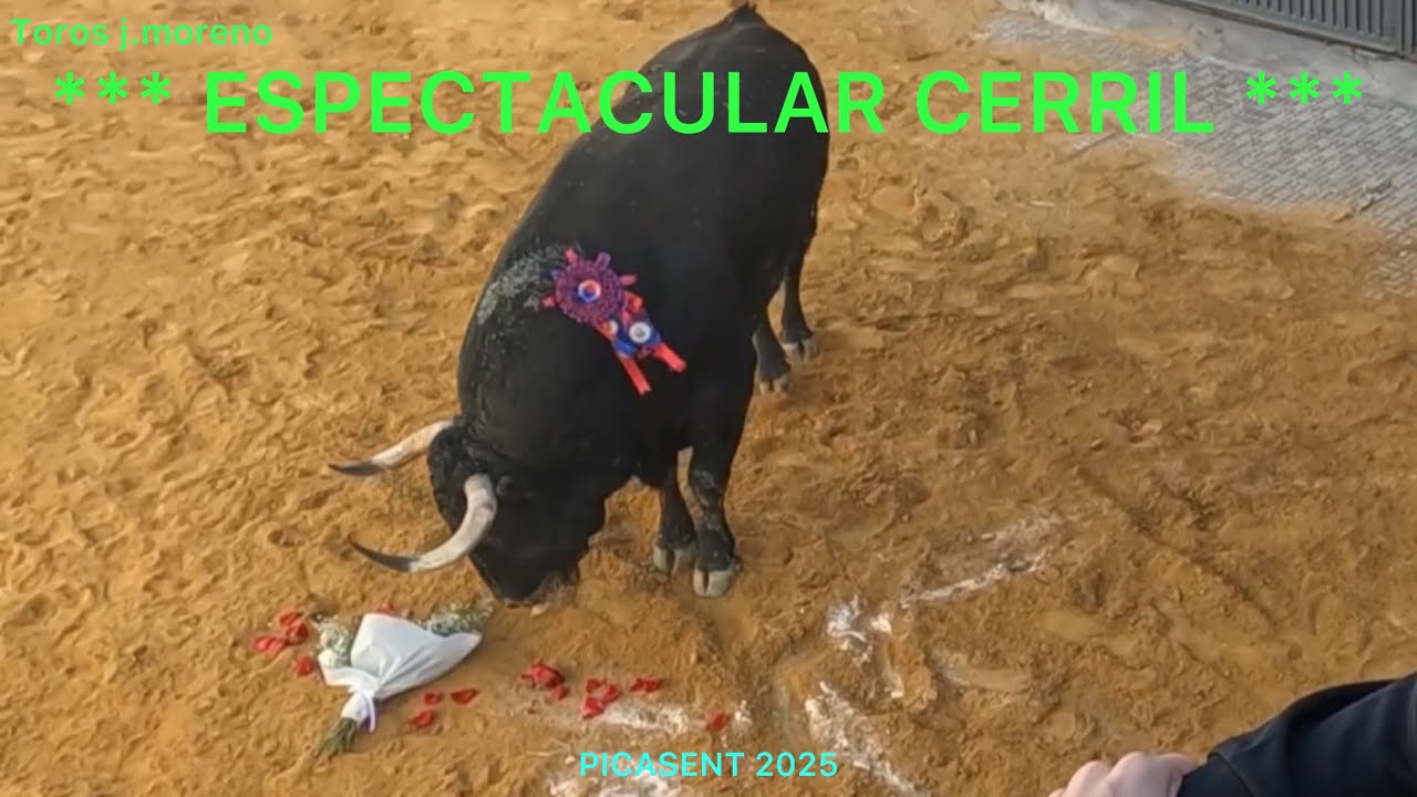 ////.  CERRIL EN PICASENT ////