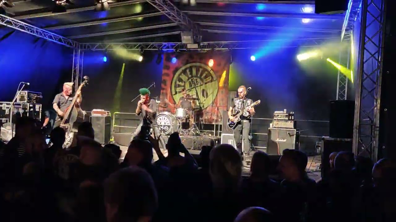 Demented Are Go - Summertime is back in Elm - 2022