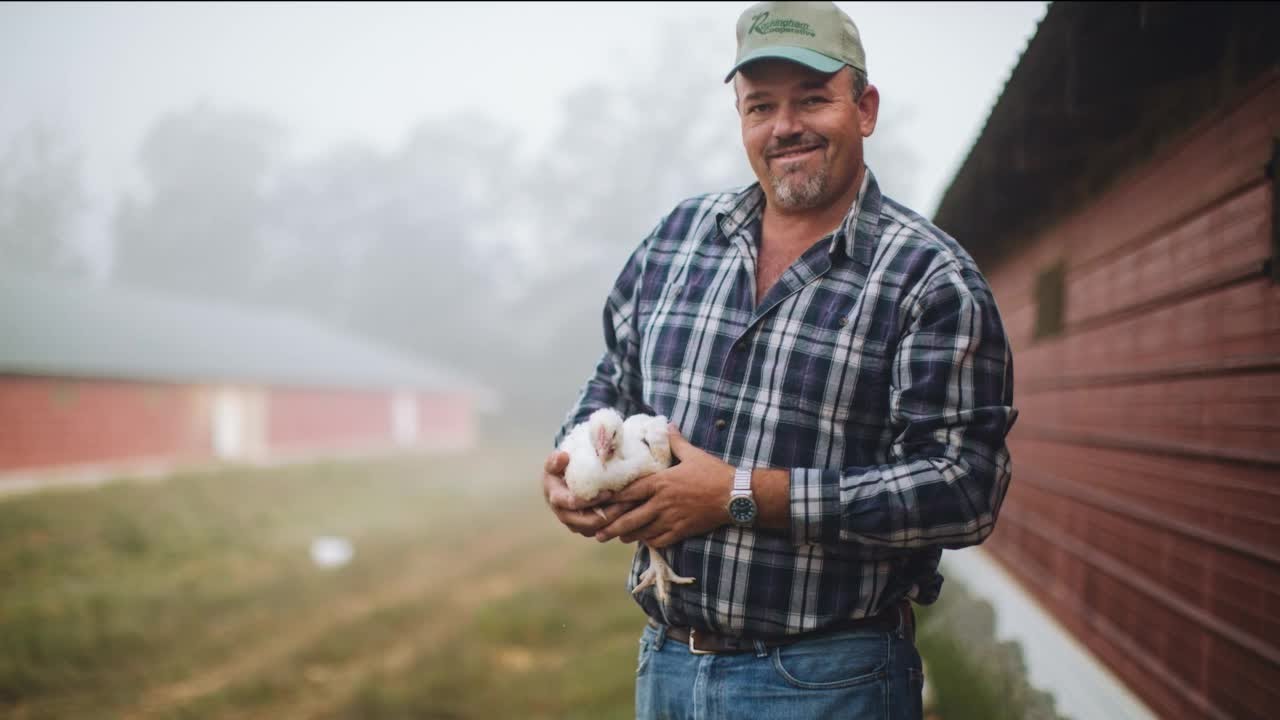 Try organic chicken from Farmer Focus