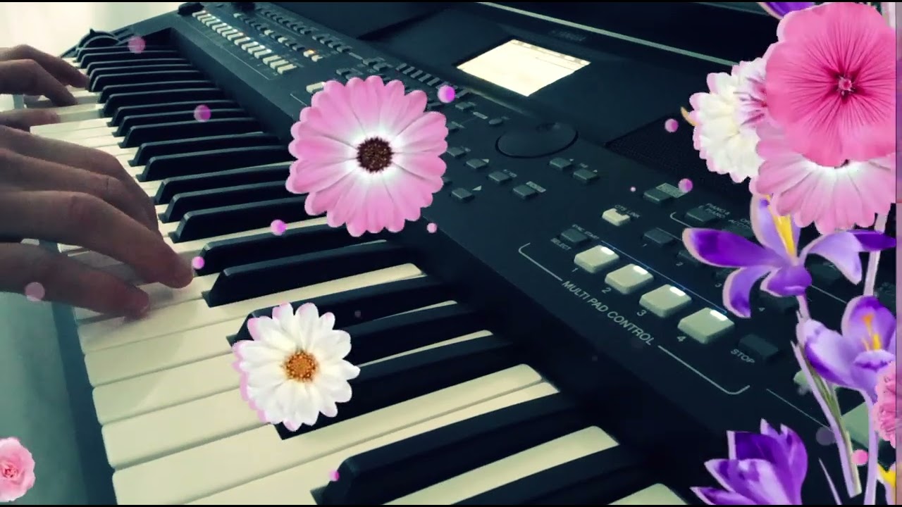 The Kelly Family Roses Of Red Cover Style 8BeatModern