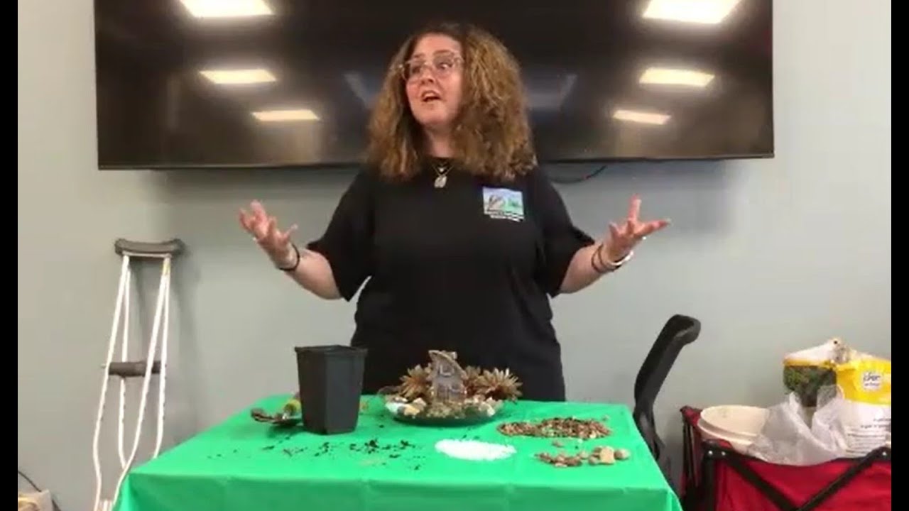 Healthy Living June 2025: Fairy Gardens for Fun