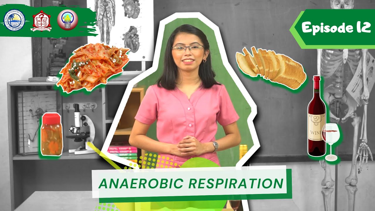 AAH Episode 12: Anaerobic Respiration