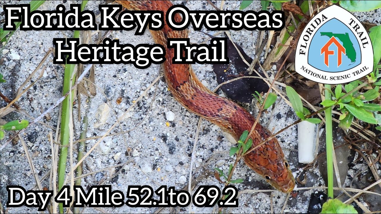 Day 4 Florida Trail Thru Hike From Key West | Keys Overseas Heritage Trail | Layton, FL | Long Key
