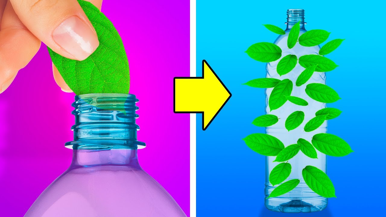 34 PIANTE CHE RENDERANNO IL TUO GIARDINO PIÙ BELLO