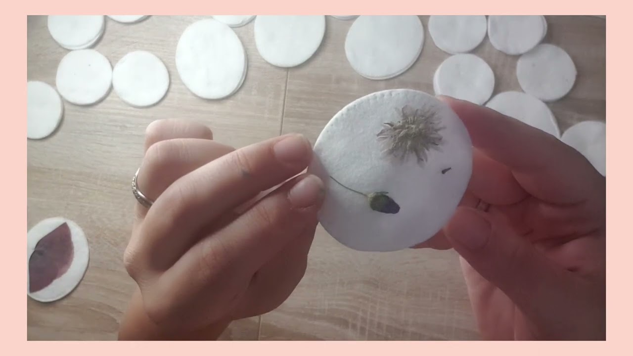 Scopriamo insieme i miei fiori secchi!! schiacciati in classici dischetti di cotone nei libri 📚