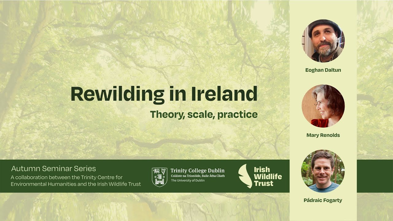 Rewilding in Ireland | Theory, Scale, Practice