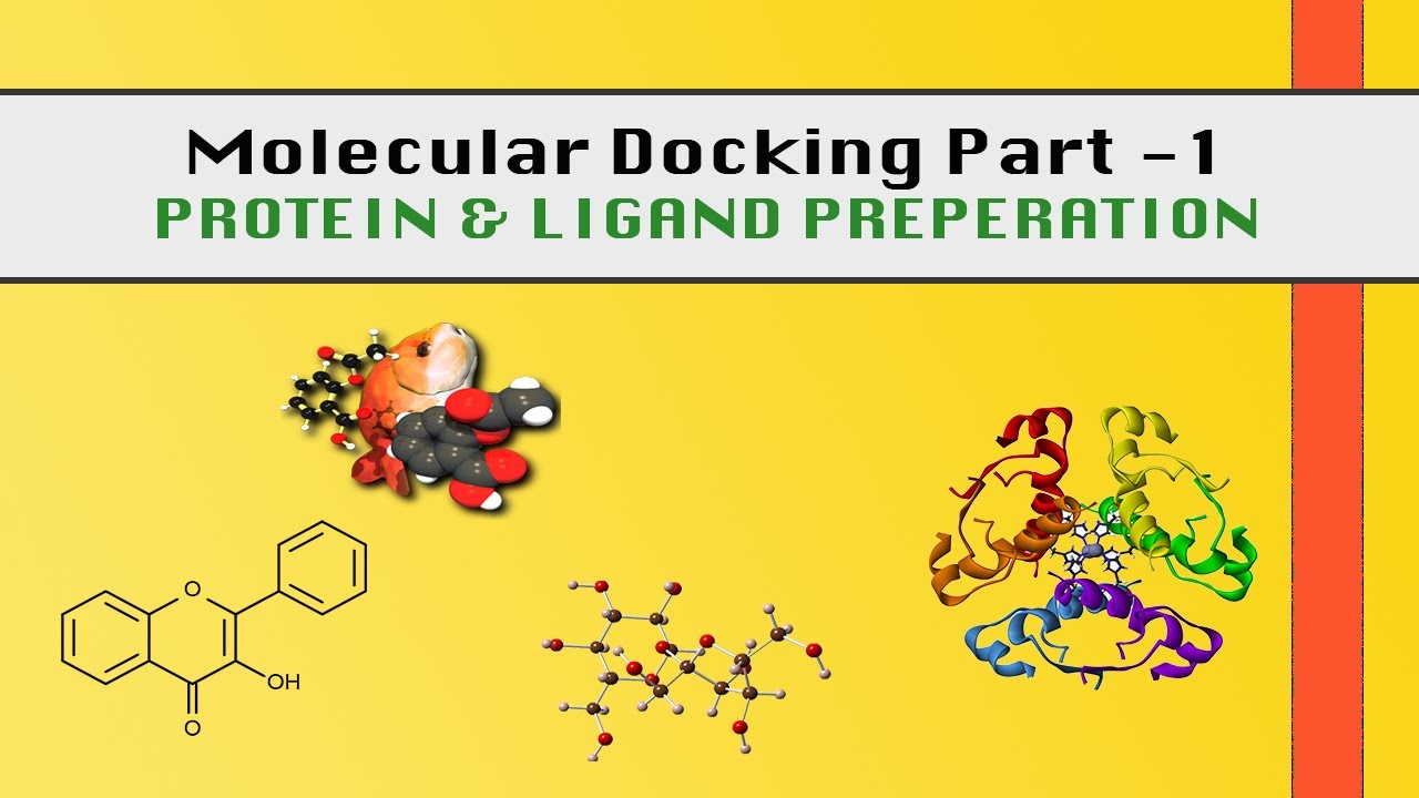 Molecular Docking Part - 1 | Protein & Ligand Preparation | Computer-Aided Drug Designing.