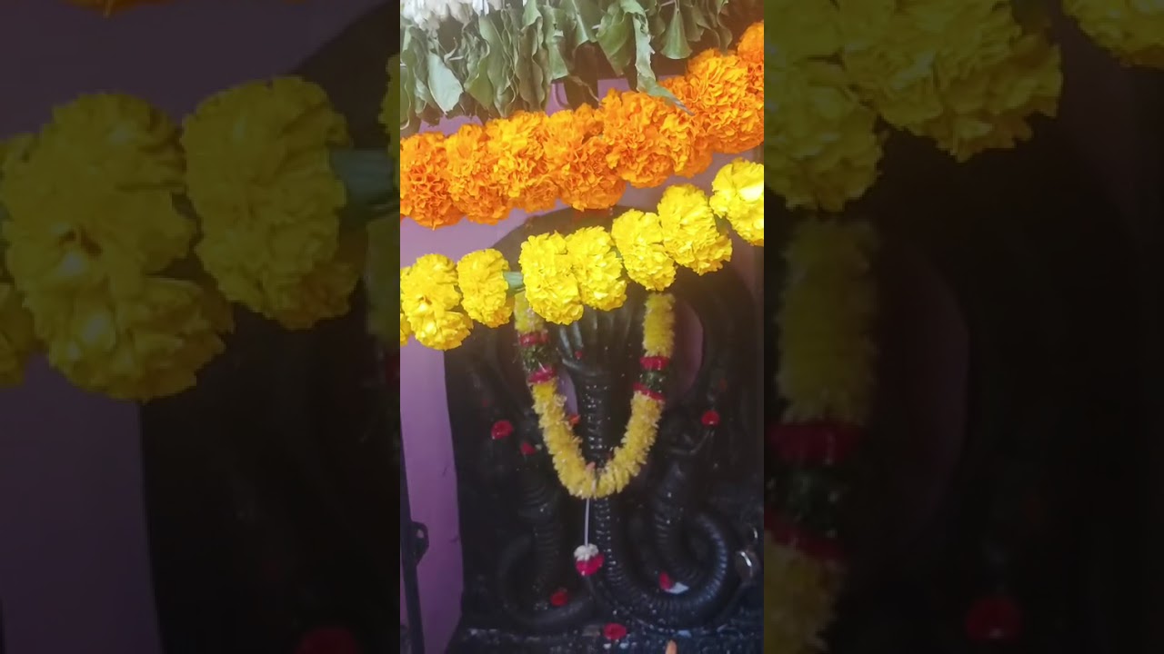 Khatu Shyam Baba Shyam Baba