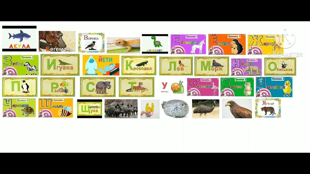 Hooray For Talking ABC Russian Animals