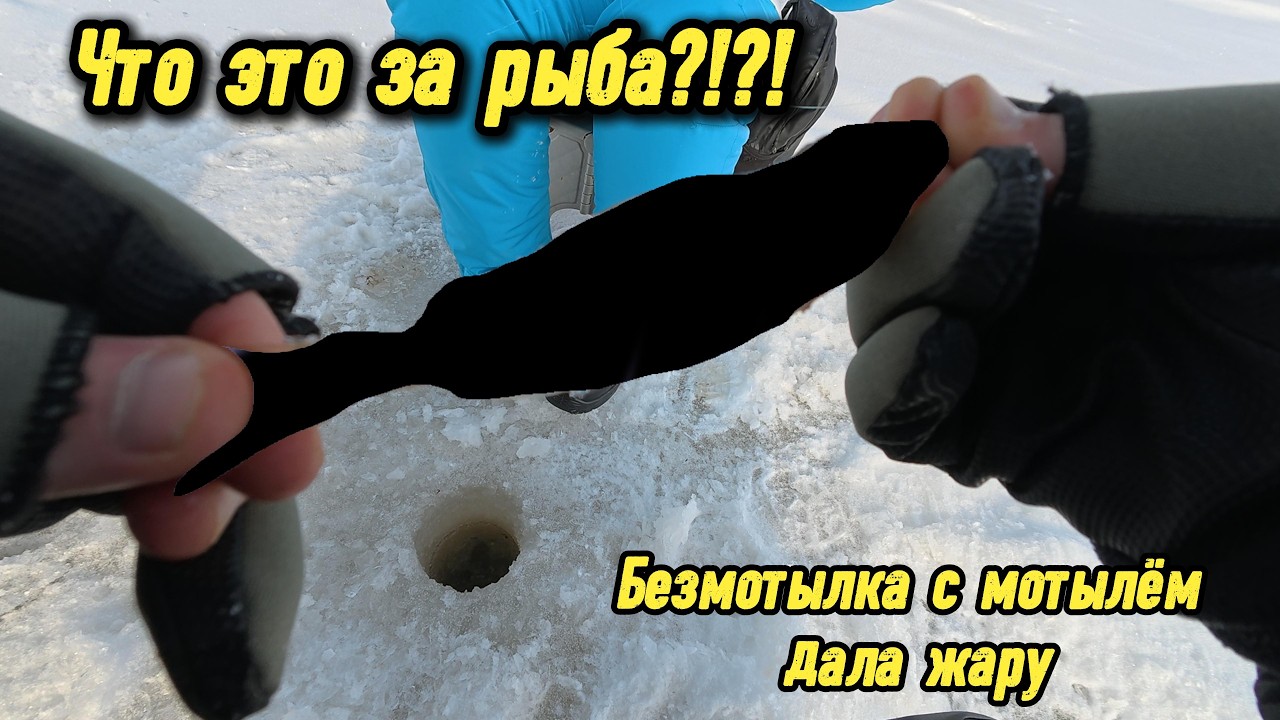 Рыбалка на Каме (Усолье). Насадил мотыля на безмотылку и тут понеслось...