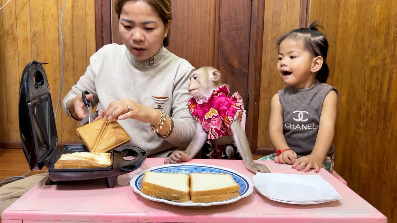 Bela & Jaila Xtrmely Grateful & Happy See Mom Grill Bread In Toaster
