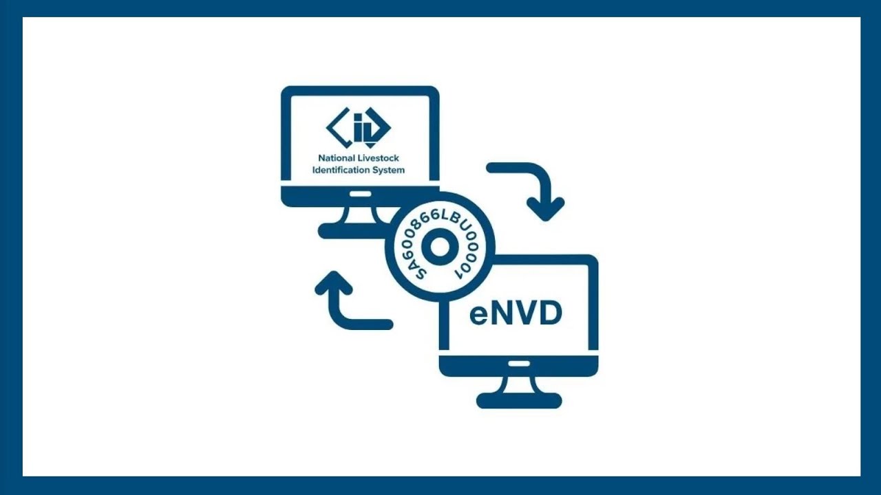 Complete NLIS transfers in eNVD – FULL EXPLAINER