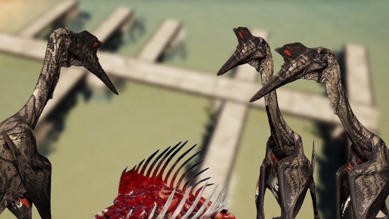 My Concerns With Quetz