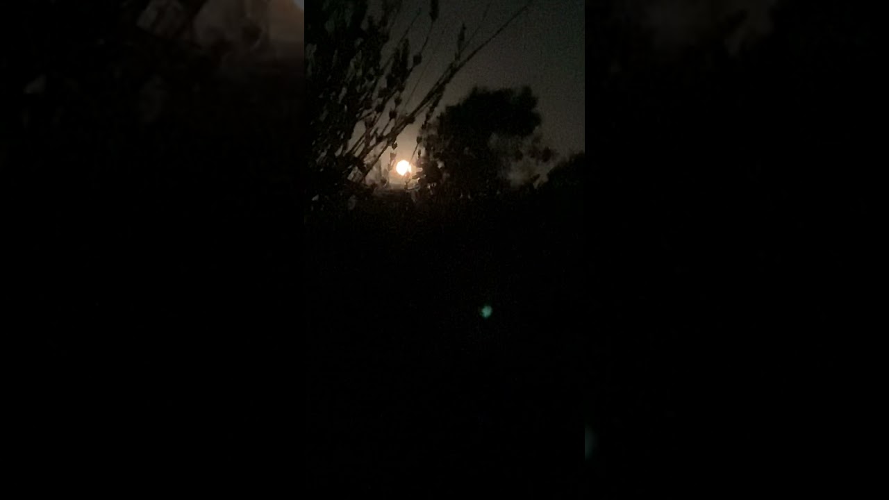 Full Moon spontaneous song offering by Miranda Rondeau