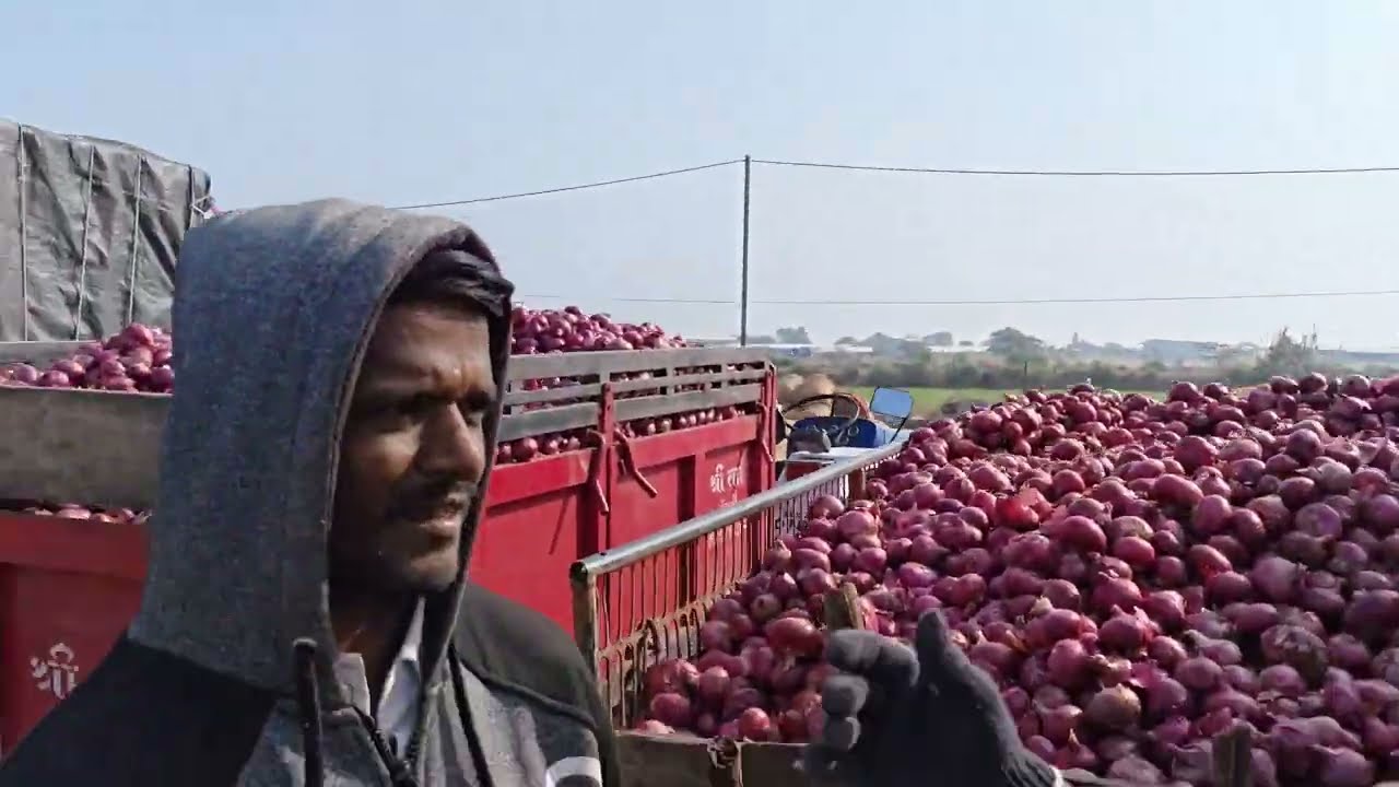 लाल l कांदा_ भाव 😱😱😱😱 kalakar l Nitin l हिवरगाव भुसार_ बाजारभाव l विंचूर कांदा बाजारभाव l मका l भाव 