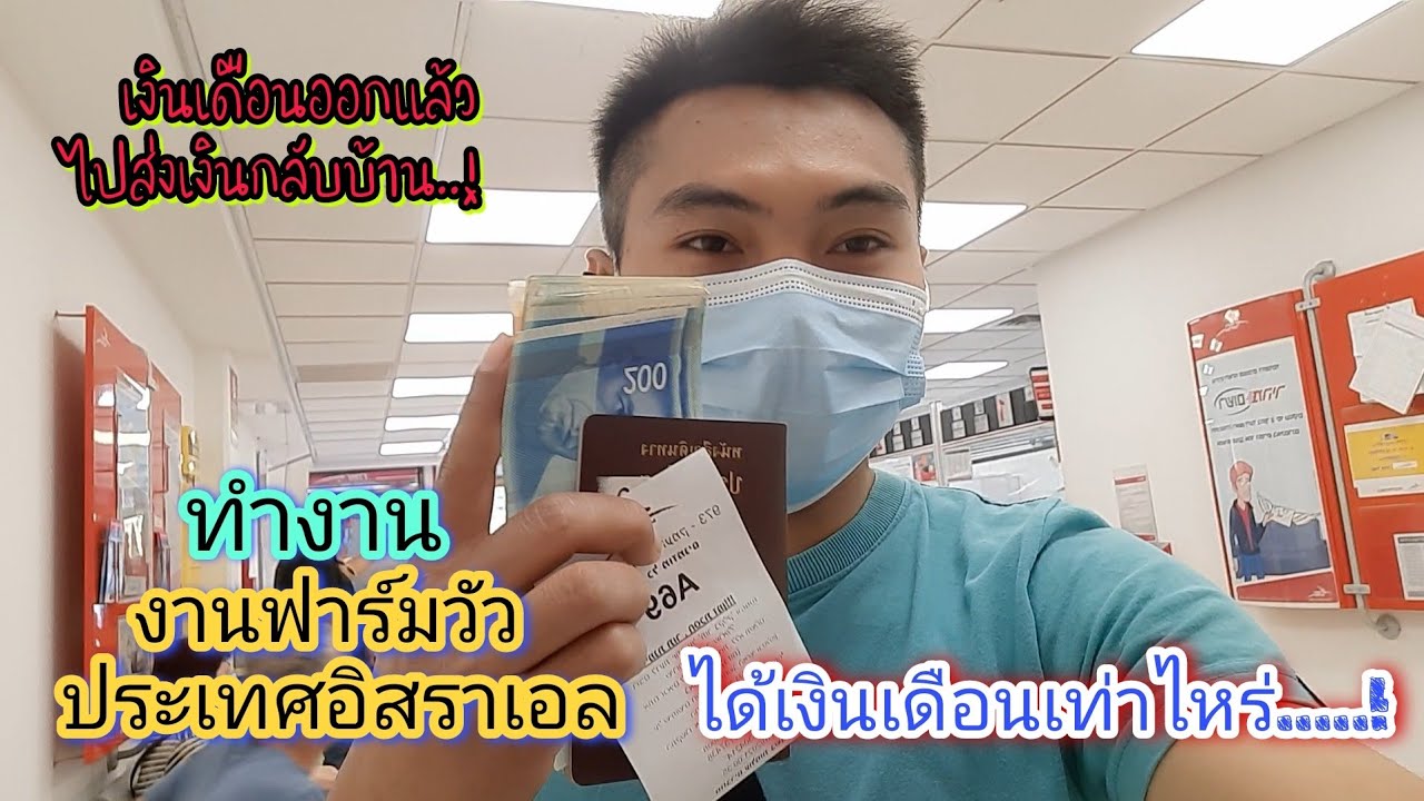 เงินเดือนออกแล้ว ส่งเงินกลับบ้านล่าสุด..! #ทำงานฟาร์มวัวในประเทศอิสราเอลได้เงินเดือนเท่าไหร่...?