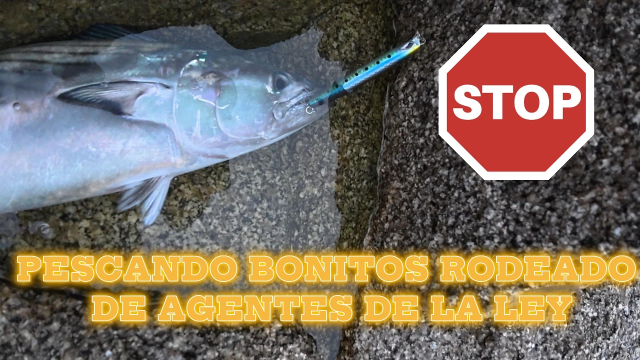 PESCANDO BONITOS RODEADO DE AGENTES DE LA LEY